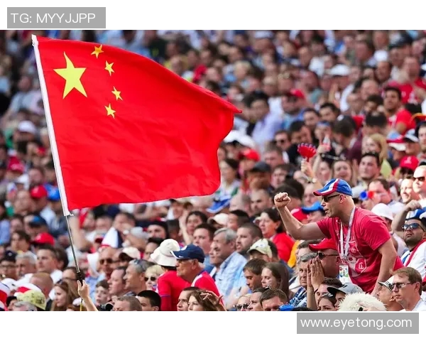 球迷假票事件调查